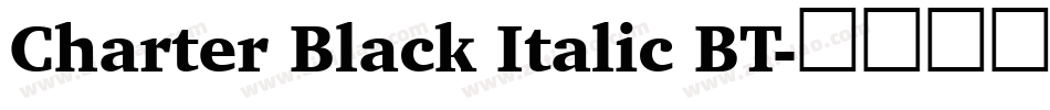 Charter Black Italic BT字体转换